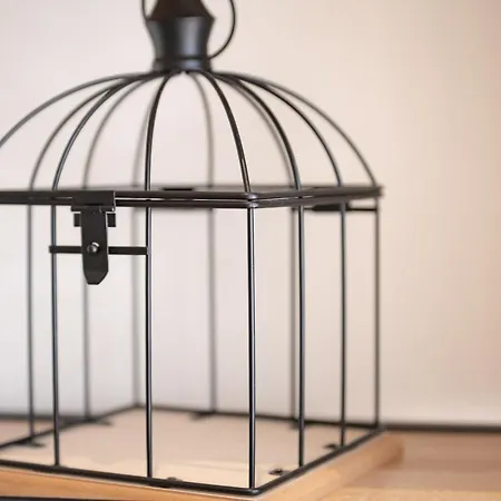 Studio Ingres Au Coeur Historique De Montauban